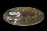 Round Fossil Goniatite Dish #73987-2